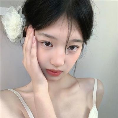 我的小狮王